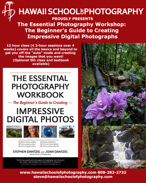 HSP Essential photography promo